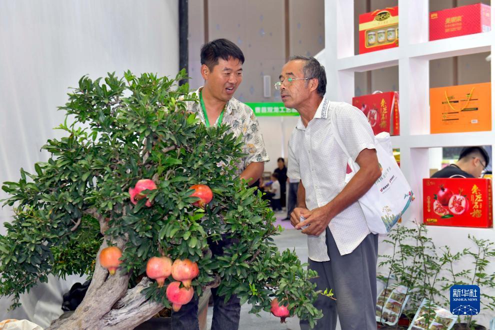 晨龙游戏官网